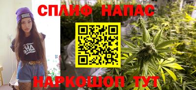 индика Тверь