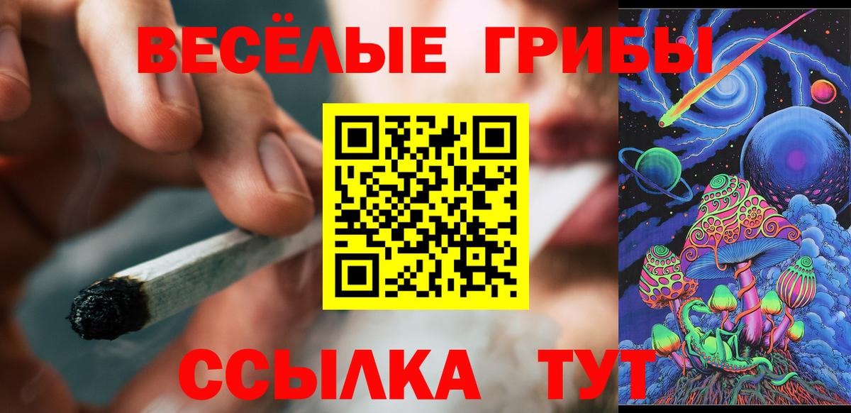 Псилоцибиновые грибы Cubensis Россошь